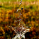 Karanténséta a Gerje parton