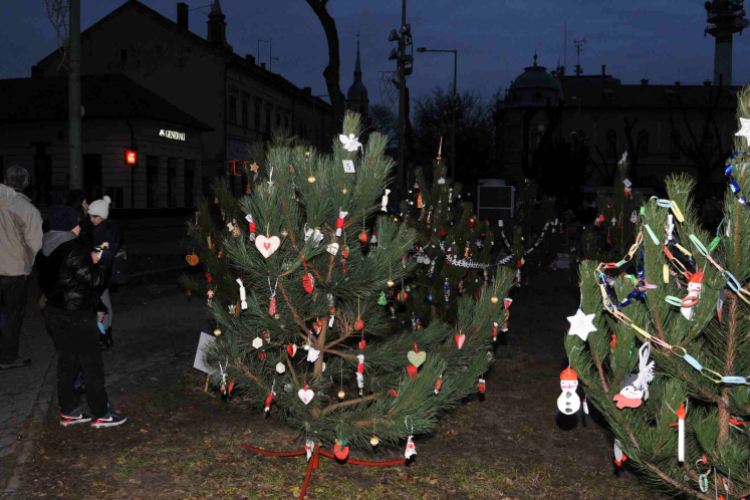 Karácsonyfa díszítő verseny