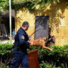 RENDŐRSÉGI NYÍLT NAP