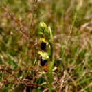 Karanténséta a Gerje parton