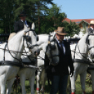 IX. Bor és Laskafesztivál - IV. Ceglédi Vágta