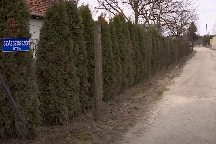 Nevet kaptak az utcák