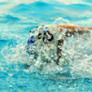 Vízilabda-lány CVSE-Fehérvár 9-14