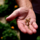 Kovács Zoltánra emlékeztek Csemőben