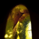 Baán Katalin - fotókiállítás 