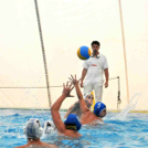 Ceglèdi Vasutas Sport Egyesület - Csabai Csirkefogók VK  (Bèkèscsaba)  9 - 8 