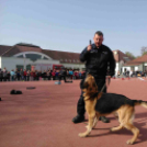 ,,Pindur-Pandúr'' - Közlekedésbiztonsági vetélkedő a Táncsicsban