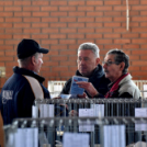 Galambkiállítás Cegléden