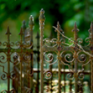 Gyászistentisztelet a temetőben