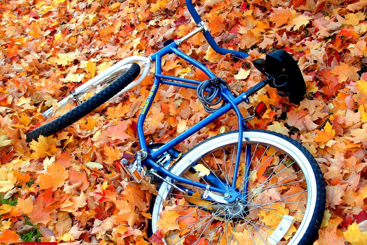 Csak a nyárnak lett vége, nem a bicikliszezonnak