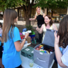 Zenei fesztivál a Táncsicsban