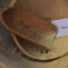 Rózsák Hétvégéje - Oázis Kertészeti Áruház