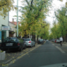 Halló Cegléd! - Kisfaludi István fotósorozata