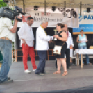 Bor és laskafesztivál - I