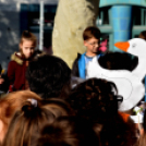 Márton napi felvonulás