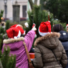 Karácsonyfa díszítő verseny