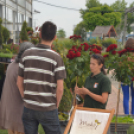 Rózsák Hétvégéje - Oázis Kertészeti Áruház