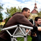 A város májusfája