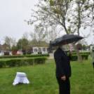 Czigle fűzfákat ültettek a Malom térre