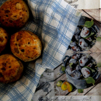 Szilva fórum Cegléden