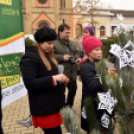 Karácsonyfa díszítő verseny