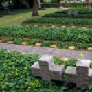 Messze a hazától...