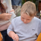 Családi tökfaragás az Oázis Kertészetben