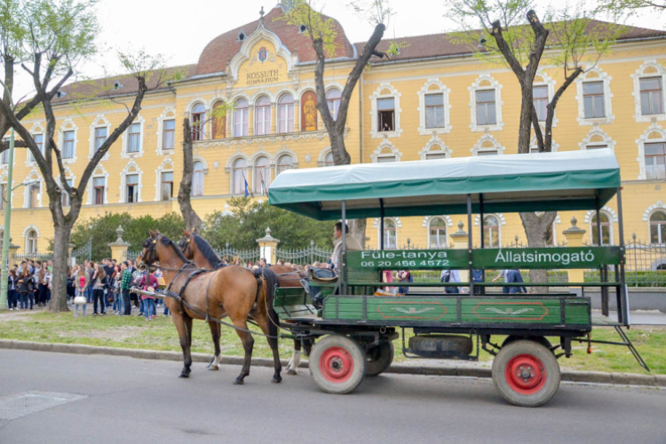 Szerenádoztak a gimisek