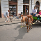 Lovasfelvonulás a belvárosban