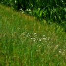 Karanténséta a Gerje parton