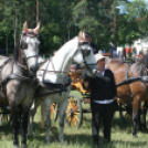 IX. Bor és Laskafesztivál - IV. Ceglédi Vágta