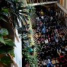 650 éves város 130 éves iskola - Ünnepi hét a Bem József Műszaki Szakközép- és Szakiskolában