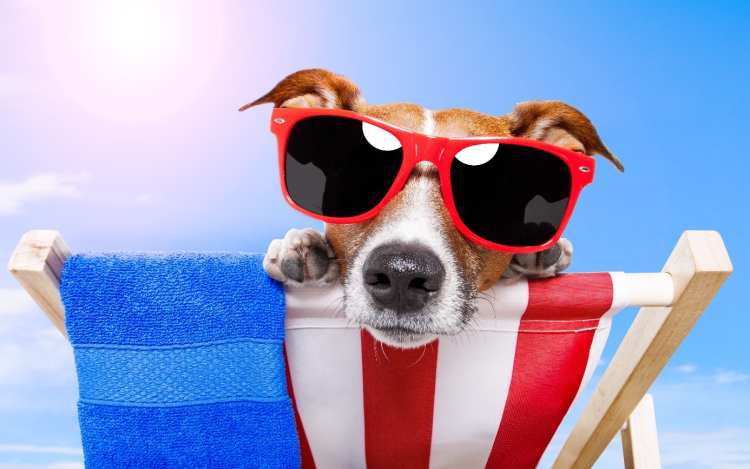 Ezen már meg se lepődünk