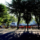 Megyei futó- és gyalogló nap