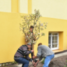 Ökoiskolai találkozó