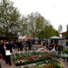 Anyámtyúkja - Csemő