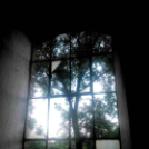 Telefonfotók - Ceglédi hangulatok