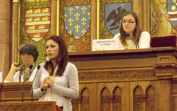 Demokráciajáték a parlamentben