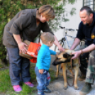 Nyílt nap a ceglédi rendőrségen