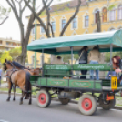 Szerenádoztak a gimisek