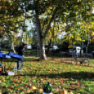 Őszköszöntő a Vörösmarty téren (CFE)