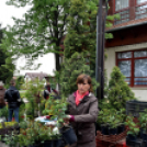 Anyámtyúkja - Csemő