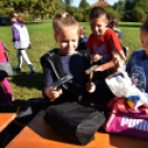 Állatok világnapja a Vörösmarty téren