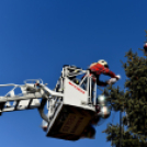 Feldíszítették a város karácsonyfáját