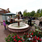 Anyámtyúkja - Csemő