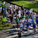 Megyei futó- és gyalogló nap
