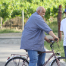 Városi Nyitott Pince Napok 2013