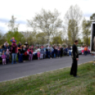 Elefántok érkeztek a Vörösmarty térre