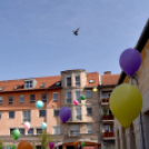 Magyar költészet napja