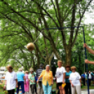 Szépkorúak Sportfesztiválja